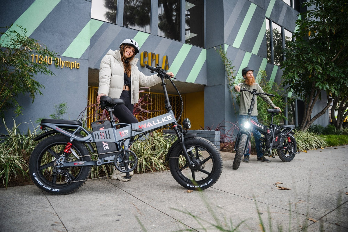 Eco-friendly electric bike with a long battery range for extended city commutes and outdoor adventures.