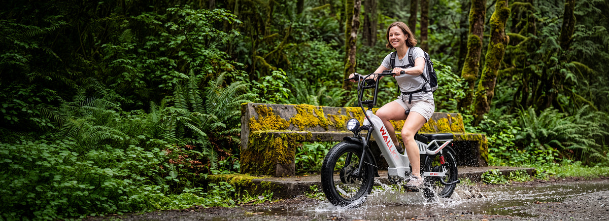 Fat Tire eBikes for Adults