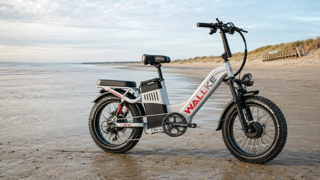 How to Choose the Best Fat Tire E-Bike for Sand in Europe