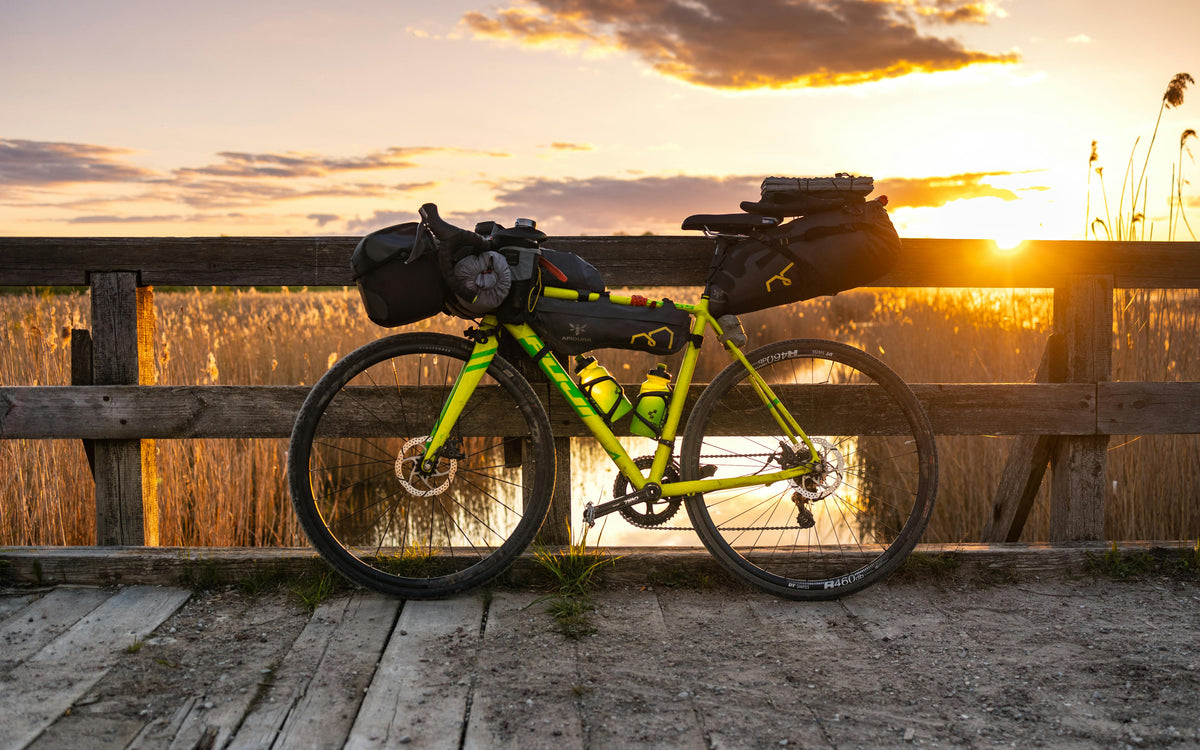 E-bikes: the eco-friendly, cost-effective, and efficient choice for European riders across cities and countryside.