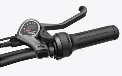 Acelerador da bicicleta elétrica Wallke