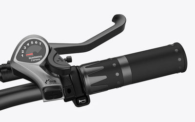Acelerador da bicicleta elétrica Wallke