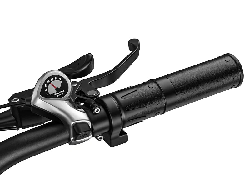 Acelerador da bicicleta elétrica Wallke