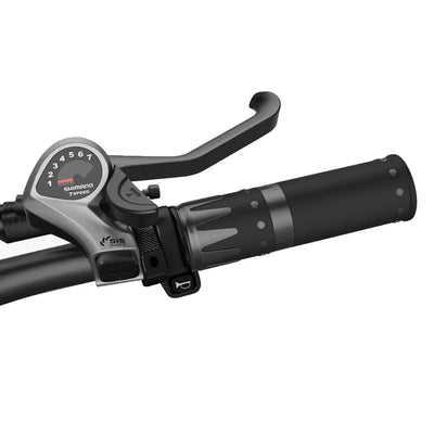 Acelerador da bicicleta elétrica Wallke