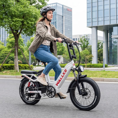 Wallke E-Bike-Reifen