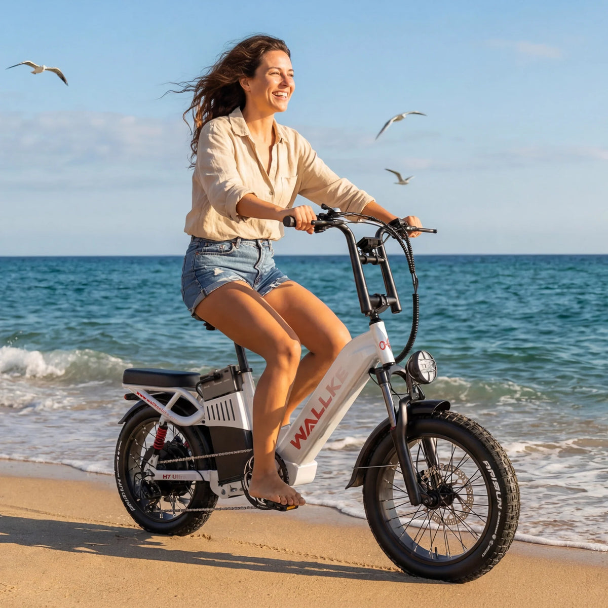 Wallke E-Bike-Reifen