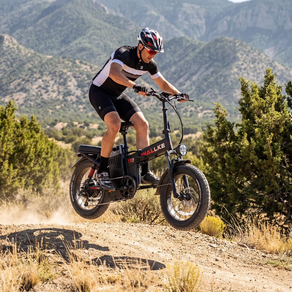 Wallke E-Bike-Reifen
