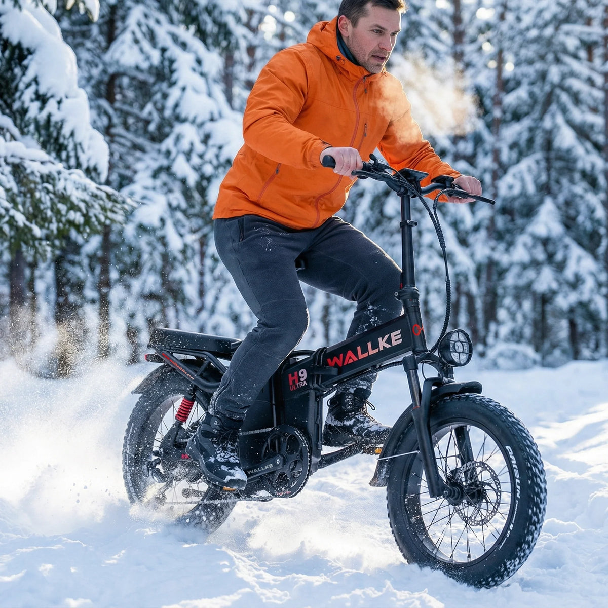 Wallke E-Bike-Reifen